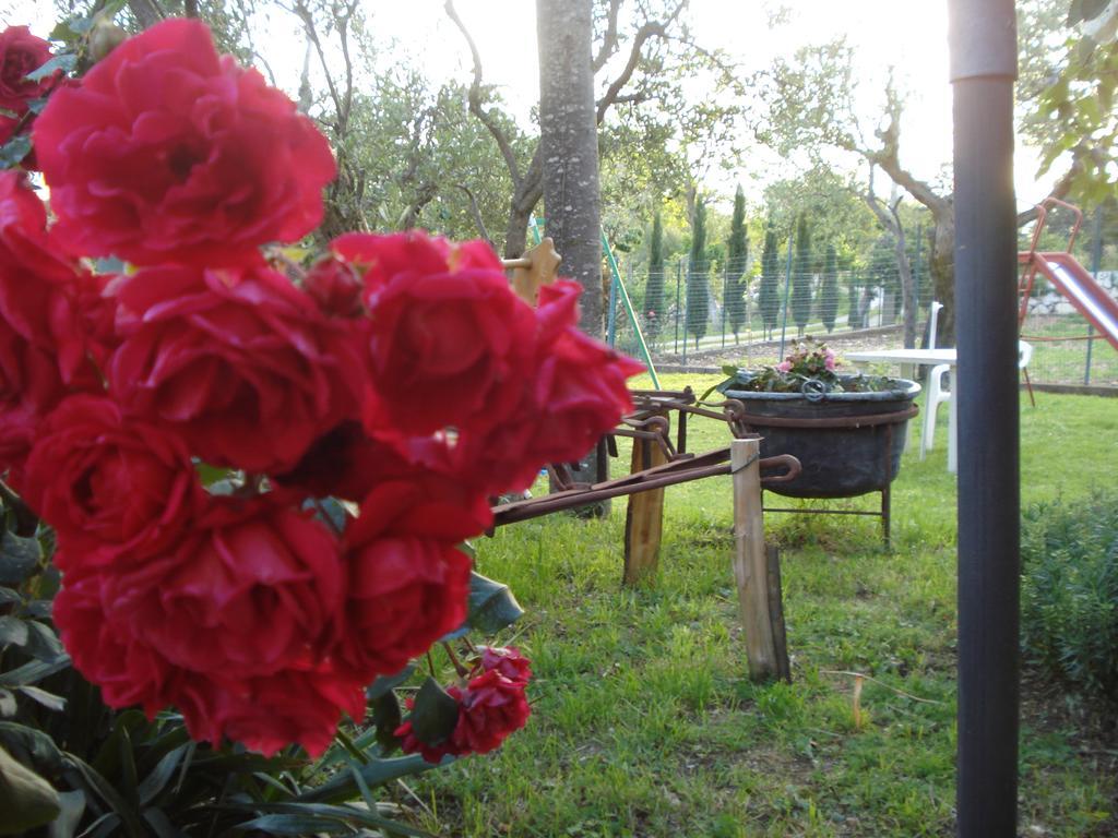 Agriturismo La Fattoria San Donato Val di Comino Luaran gambar